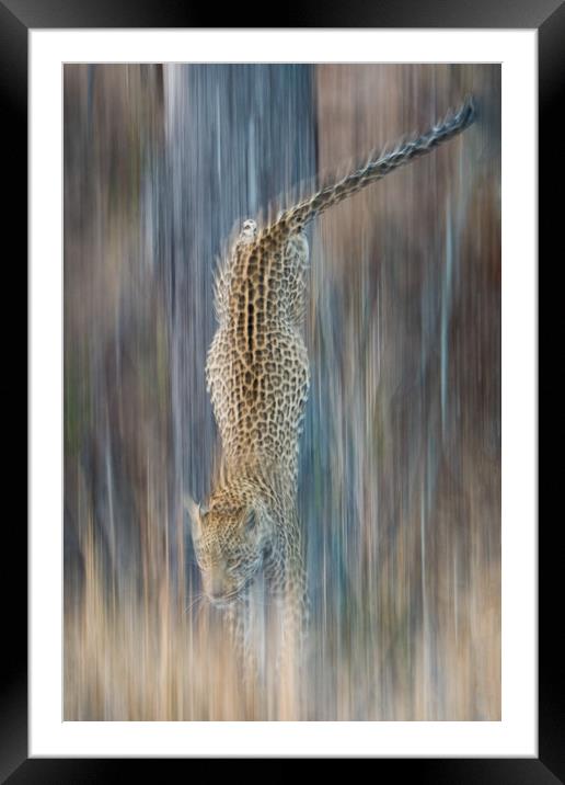 Liquid leopard Framed Mounted Print by Villiers Steyn
