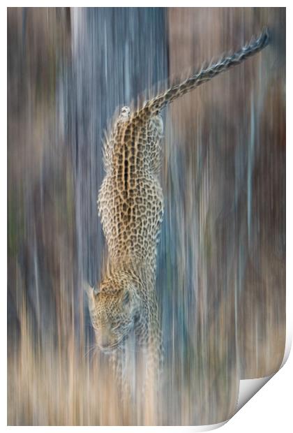 Liquid leopard Print by Villiers Steyn
