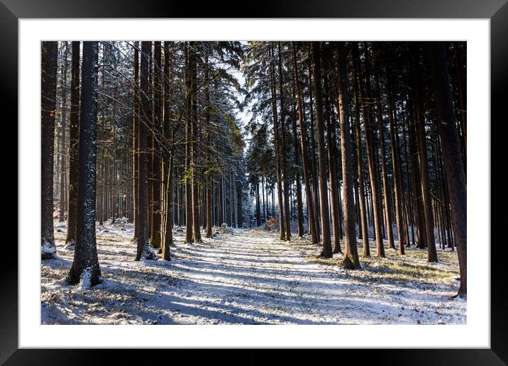 Road in winter forest. Framed Mounted Print by Sergey Fedoskin