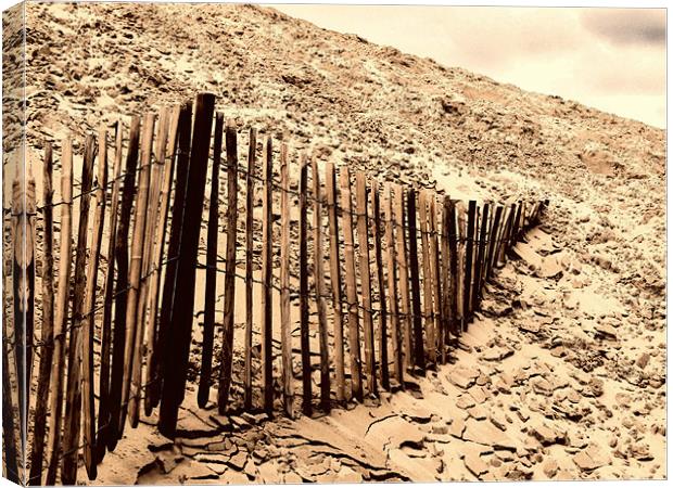 Fence - Dune of Pilat Canvas Print by Samantha Higgs