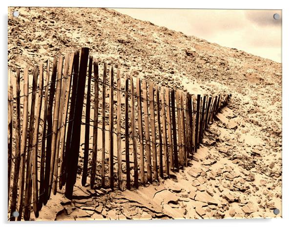 Fence - Dune of Pilat Acrylic by Samantha Higgs