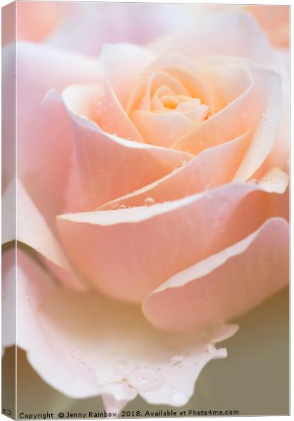 Tenderness. Series  From Rose Garden Canvas Print by Jenny Rainbow