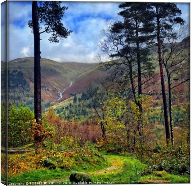 "Pathway to Thirlmere" Canvas Print by ROS RIDLEY
