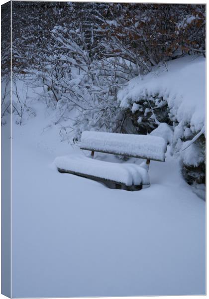 Snow Covered Bench Canvas Print by rawshutterbug 