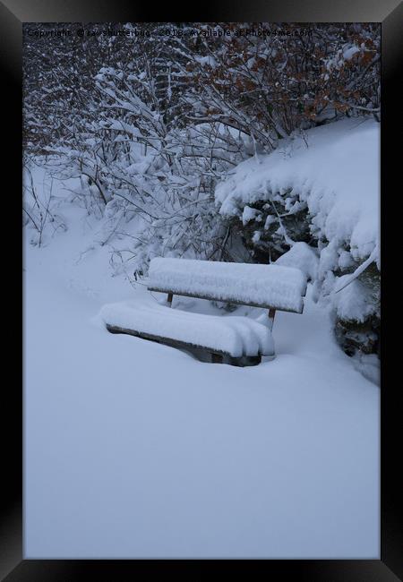 Snow Covered Bench Framed Print by rawshutterbug 