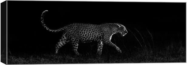 Dark leopard Canvas Print by Villiers Steyn