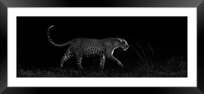 Dark leopard Framed Mounted Print by Villiers Steyn