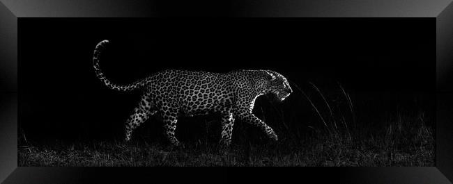 Dark leopard Framed Print by Villiers Steyn