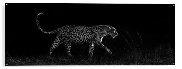 Dark leopard Acrylic by Villiers Steyn