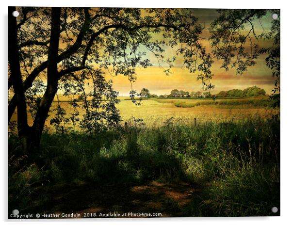 A Walk Across the Fields Acrylic by Heather Goodwin