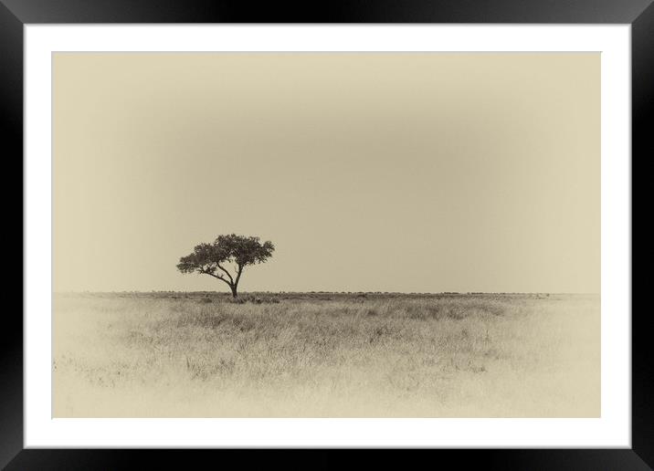 Isolated tree Framed Mounted Print by Genevieve HUI BON HOA