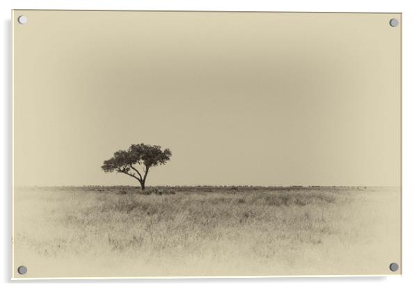Isolated tree Acrylic by Genevieve HUI BON HOA