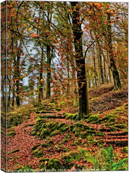 "Autumn trees on a lakeland hillside" Canvas Print by ROS RIDLEY