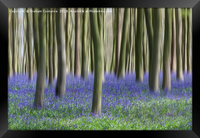 Bluebell Blur Framed Print by Graham Custance