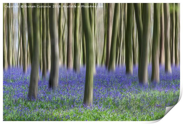 Bluebell Blur Print by Graham Custance