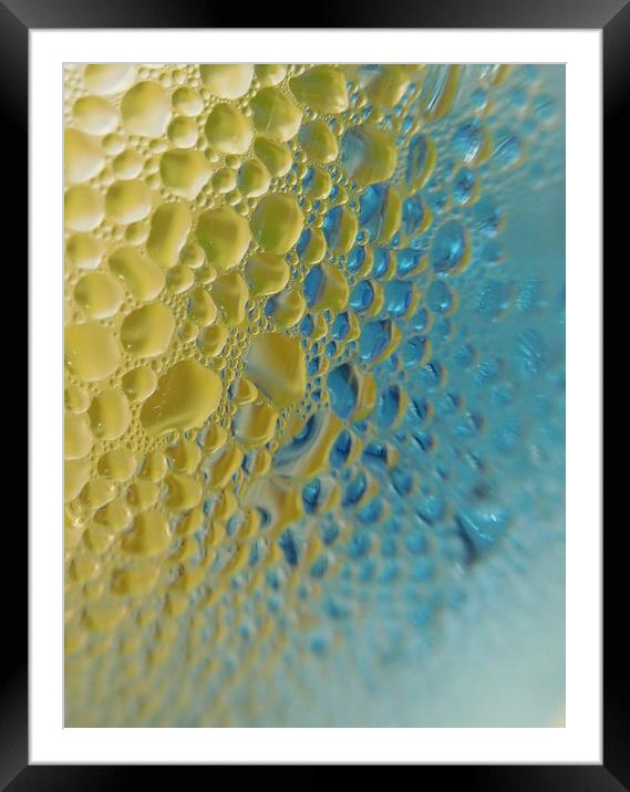 refresh Framed Mounted Print by Heather Newton