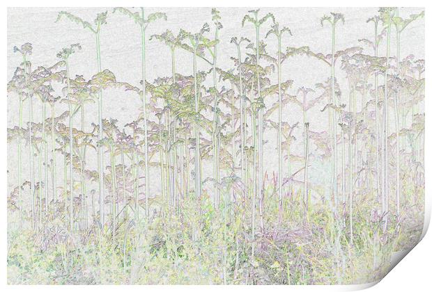 romantic plants Print by Genevieve HUI BON HOA