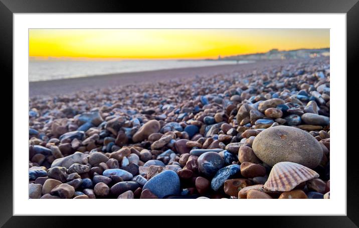 Seashell amongst the pebbles Framed Mounted Print by Richard May