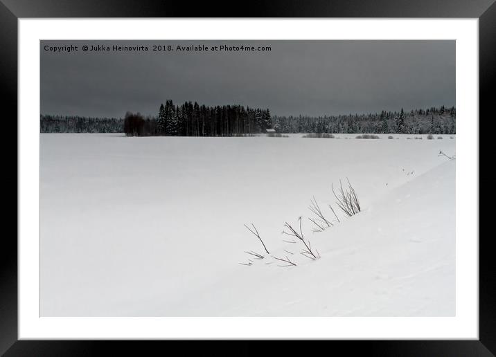 Branches in the Snow Framed Mounted Print by Jukka Heinovirta