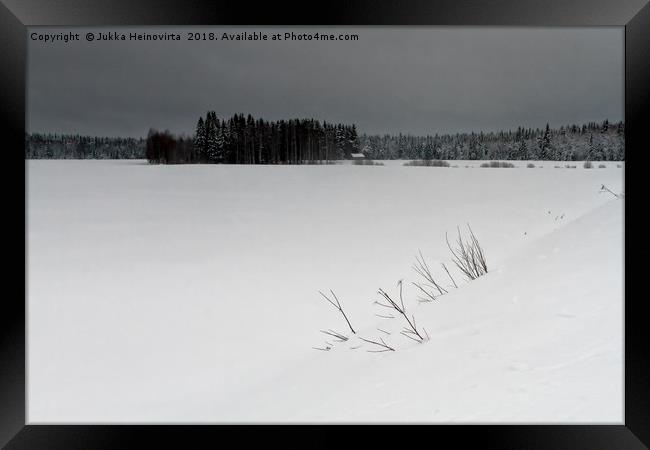 Branches in the Snow Framed Print by Jukka Heinovirta