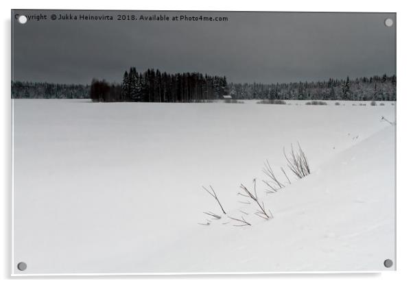 Branches in the Snow Acrylic by Jukka Heinovirta