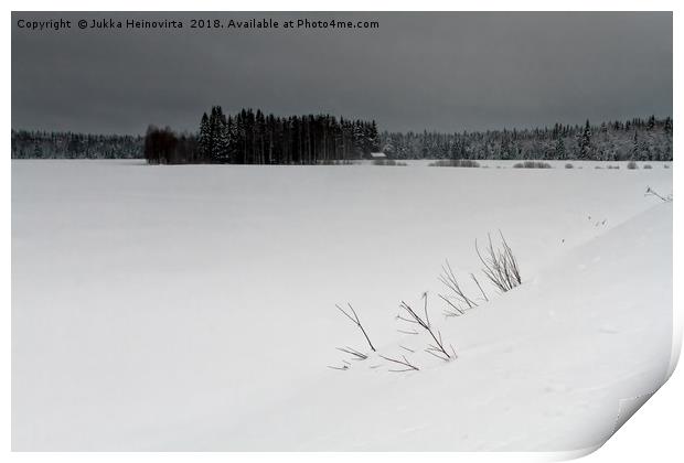 Branches in the Snow Print by Jukka Heinovirta