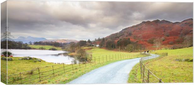 country lane in the lakes  Canvas Print by chris smith