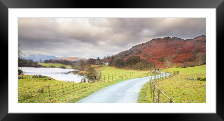 country lane in the lakes  Framed Mounted Print by chris smith