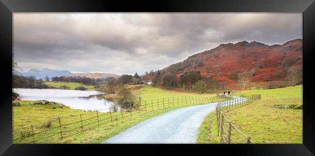 country lane in the lakes  Framed Print by chris smith