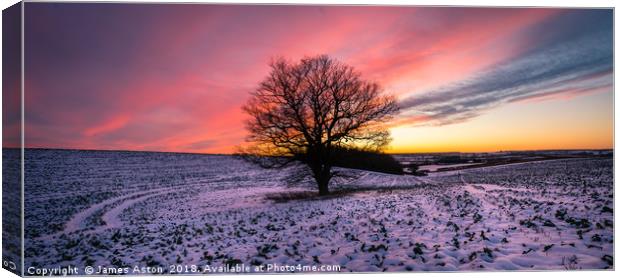 Sunset over the lonely Tree Canvas Print by James Aston