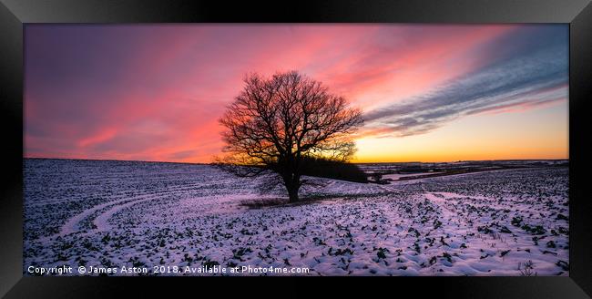 Sunset over the lonely Tree Framed Print by James Aston