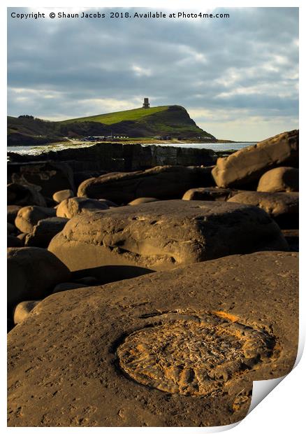Kimmeridge beach ammonite  Print by Shaun Jacobs