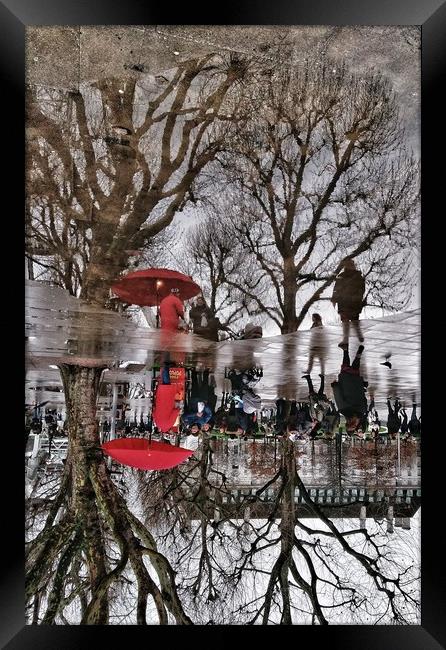 Red Reflections Framed Print by Scott Anderson