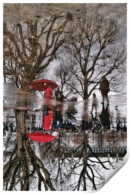 Red Reflections Print by Scott Anderson