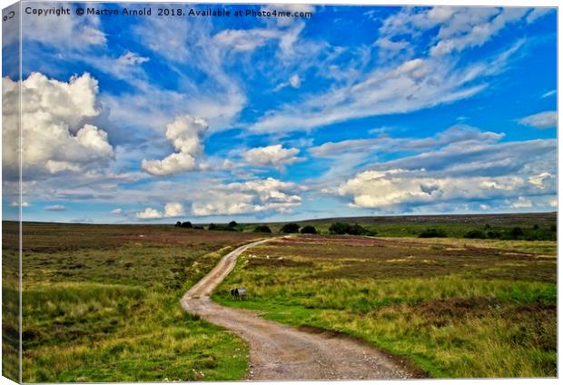 Road Across the Moors Canvas Print by Martyn Arnold