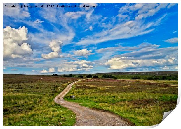 Road Across the Moors Print by Martyn Arnold