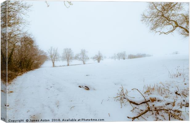 Blizzard in a Field Canvas Print by James Aston