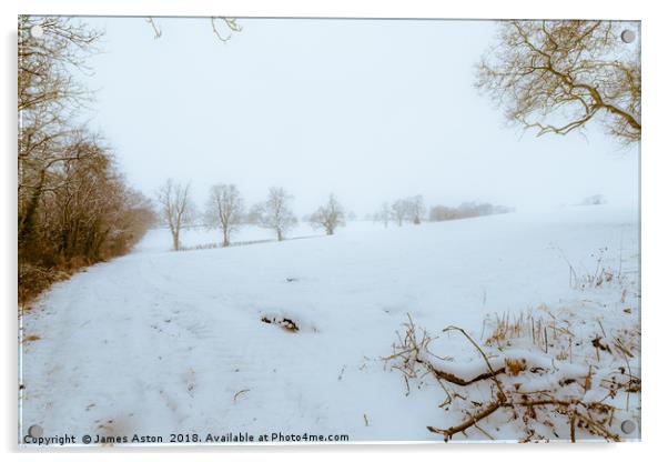 Blizzard in a Field Acrylic by James Aston