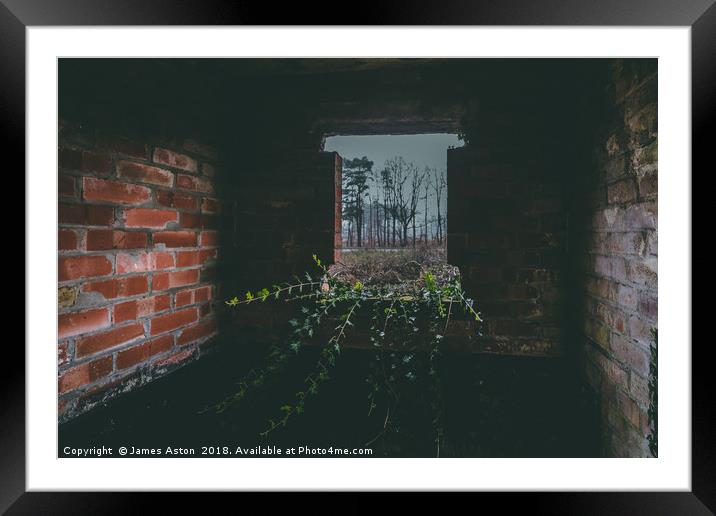 Nature is taking over Framed Mounted Print by James Aston