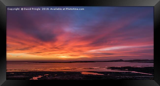 Newton Haven Sunrise Framed Print by David Pringle