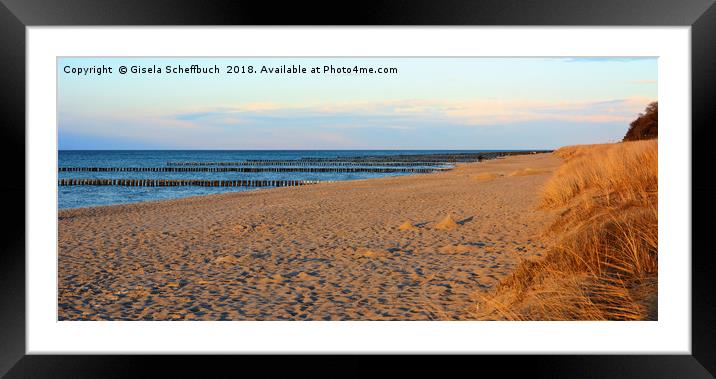 Sunset Light at the Baltic Sea                     Framed Mounted Print by Gisela Scheffbuch