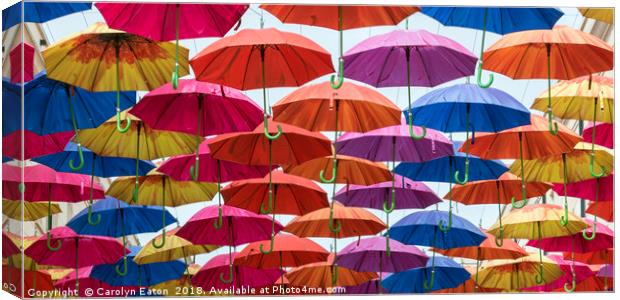 Umbrellas! Canvas Print by Carolyn Eaton