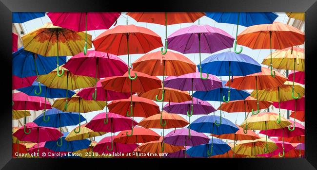 Umbrellas! Framed Print by Carolyn Eaton