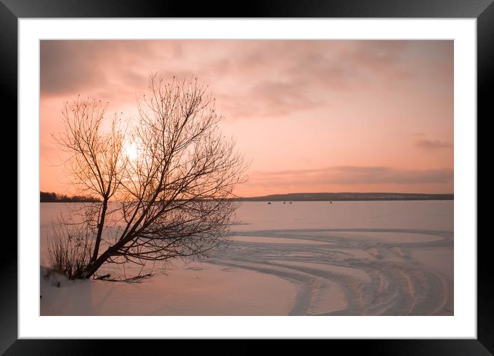 Tree on winter frozen lake Framed Mounted Print by Larisa Siverina