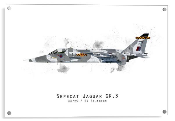 Jaguar Sketch - XX725 Acrylic by J Biggadike