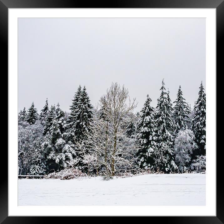 Winter-1 Framed Mounted Print by David Martin