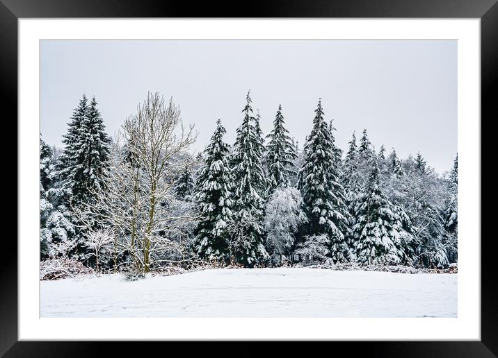Winter-2 Framed Mounted Print by David Martin