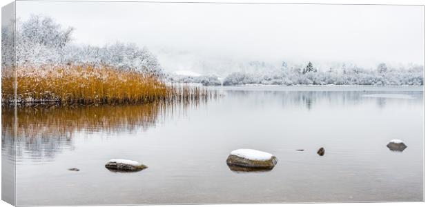 Winter-7 Canvas Print by David Martin