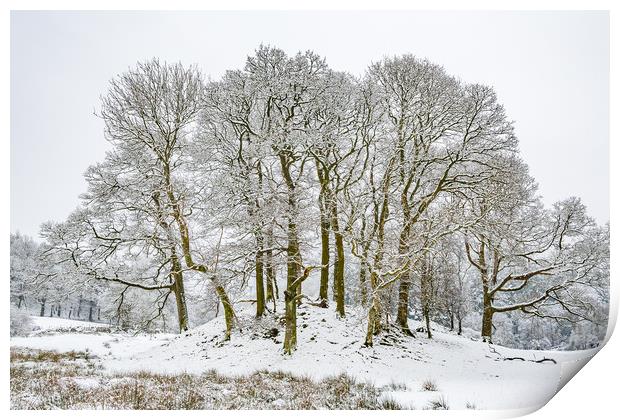 Winter-14 Print by David Martin