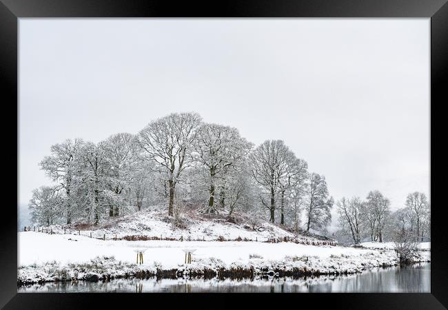 Winter-11 Framed Print by David Martin